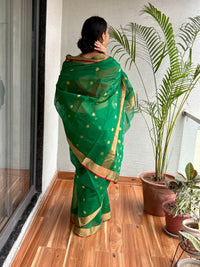 Chanderi Saree Green