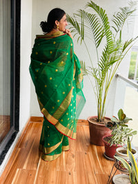 Chanderi Saree Green